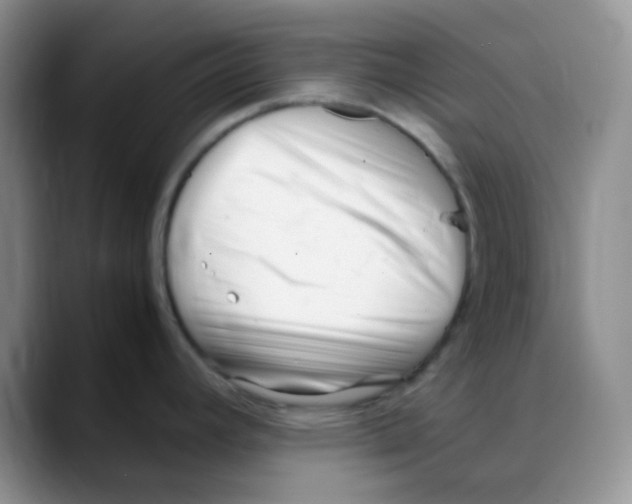 X0000088051392200706081620