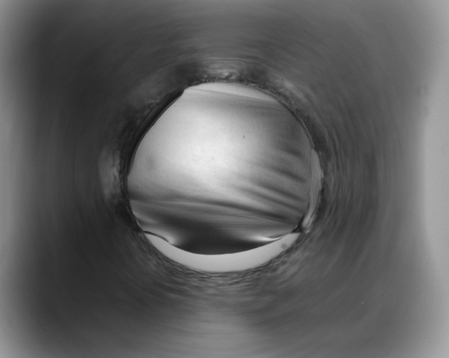 X0000088051394200706081620