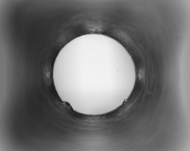 X0000088051396200706081620