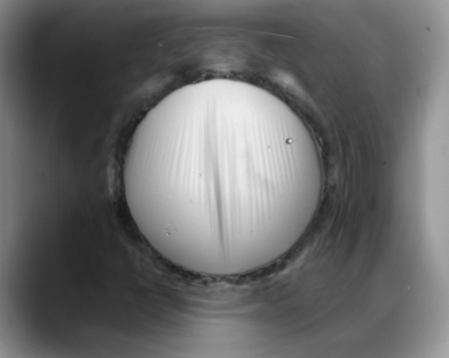 X0000088051398200706081620