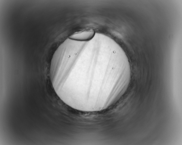 X0000088051399200706081620