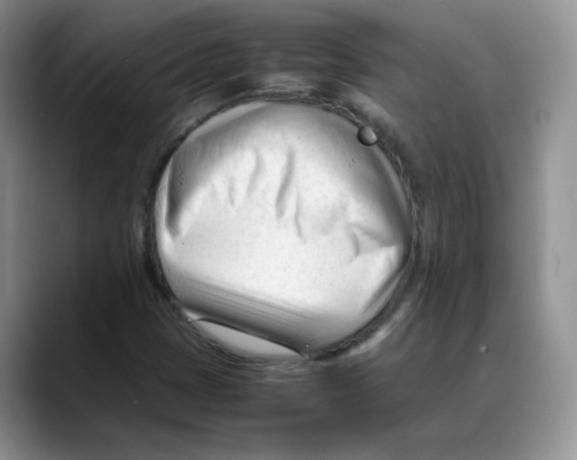 X0000088051401200706081620
