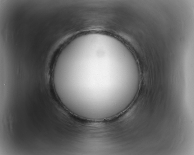 X0000088051406200706081620