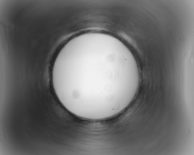 X0000088051408200706081620