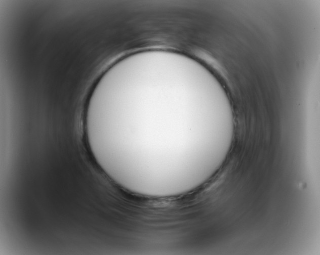 X0000088051415200706081620
