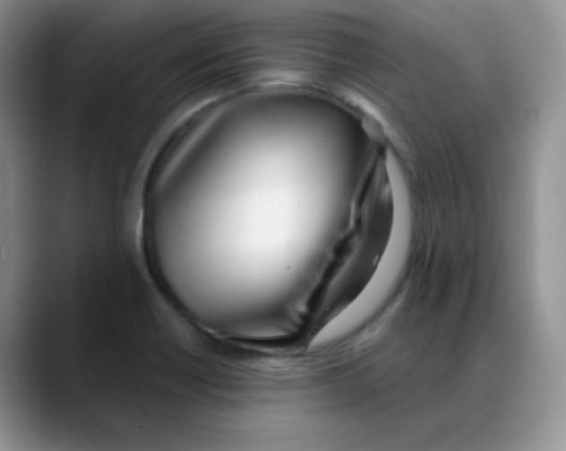 X0000088051418200706081620