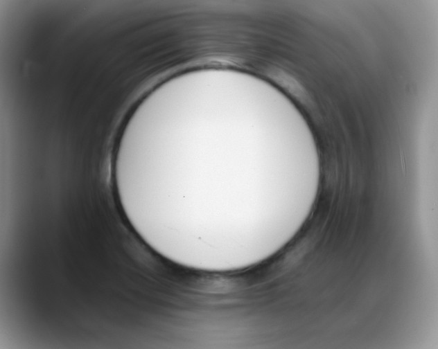X0000088051420200706081620