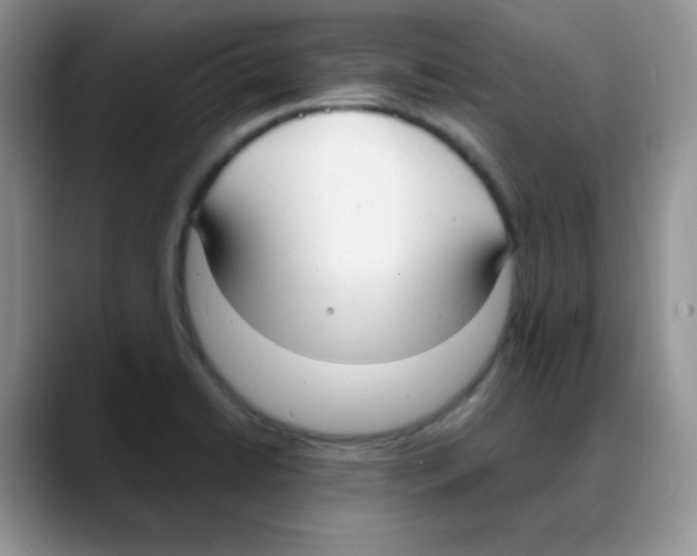 X0000088051422200706081620