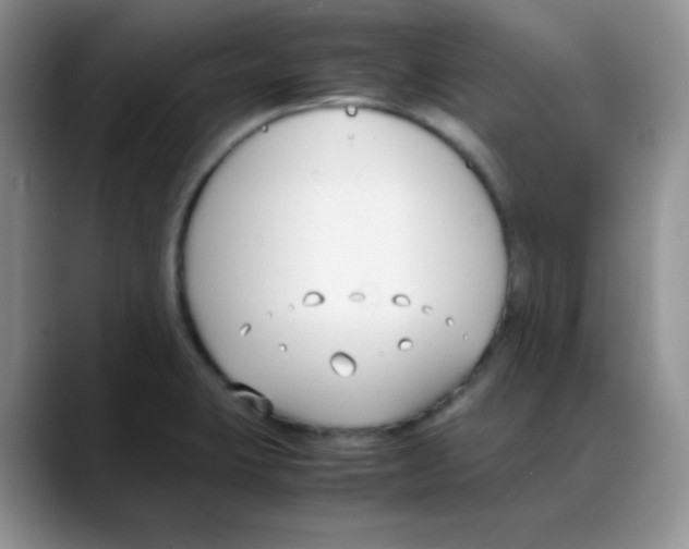 X0000088051423200706081620