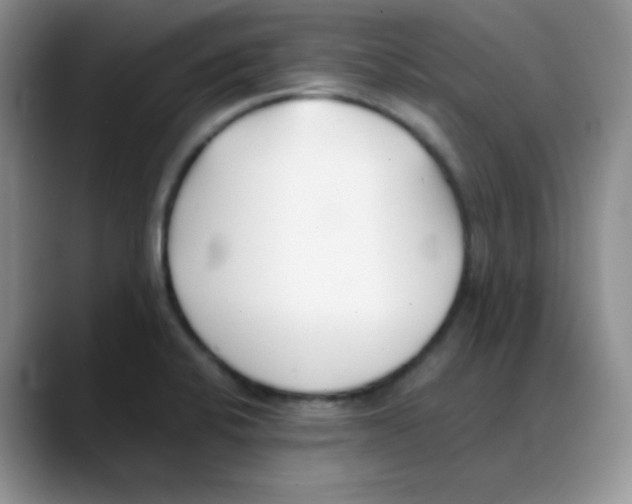 X0000088051424200706081620