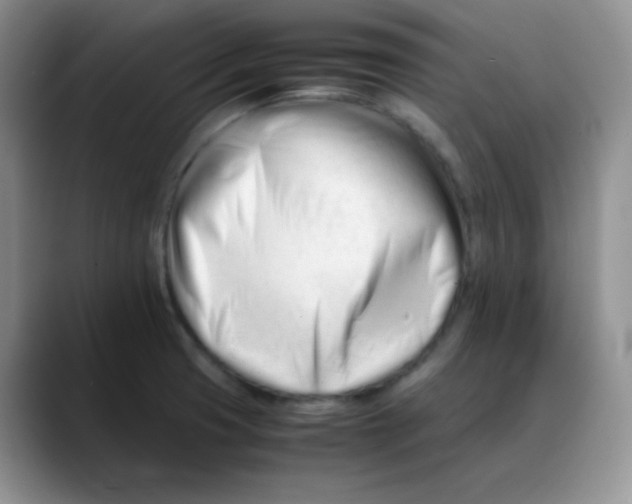 X0000088051425200706081620