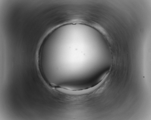 X0000088051430200706081620