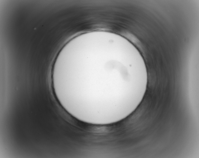 X0000088051431200706081620