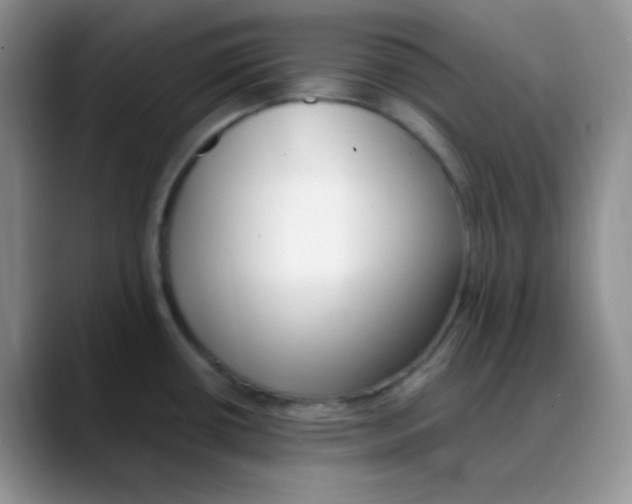 X0000088051434200706081620