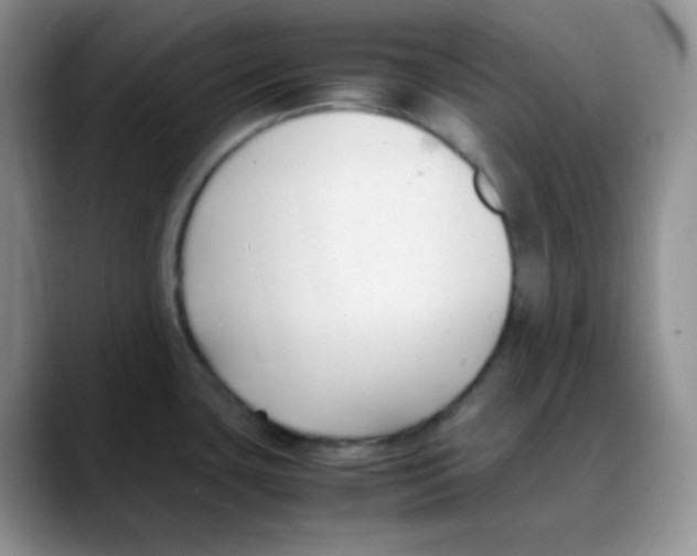 X0000088051435200706081620