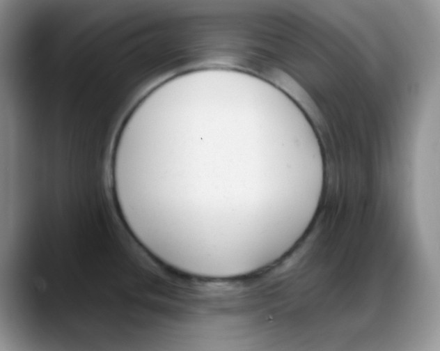 X0000088051436200706081620