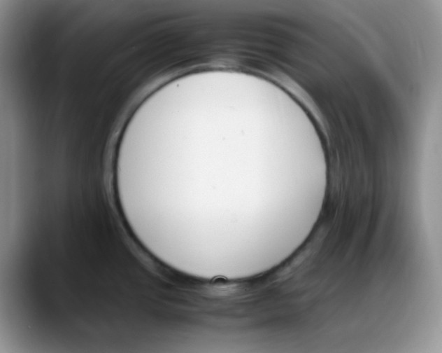 X0000088051437200706081620