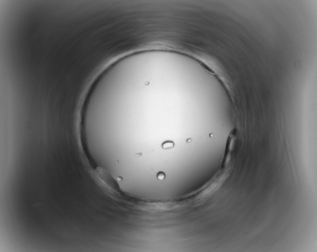X0000088051438200706081620