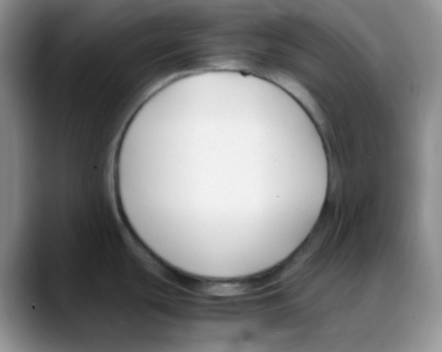 X0000088051439200706081620