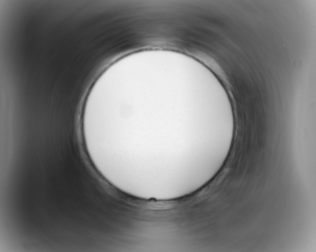 X0000088051440200706081620