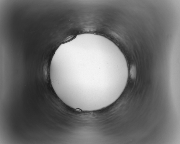 X0000088051444200706081620
