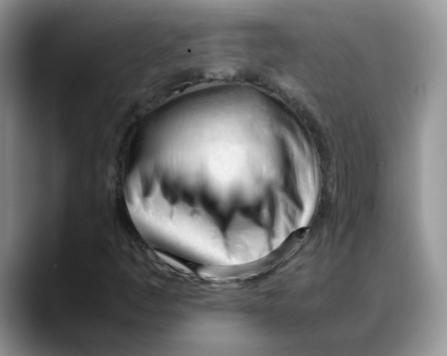 X0000088051445200706081620