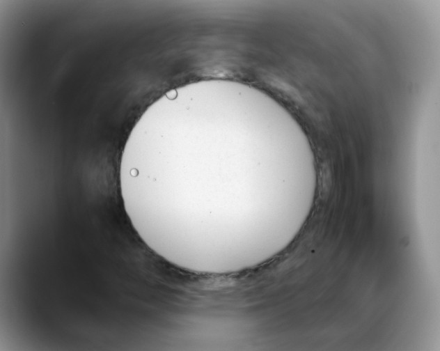 X0000088051446200706081620