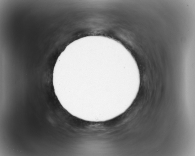 X0000088051447200706081620