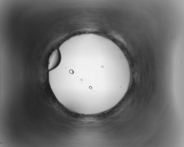 X0000088051448200706081620