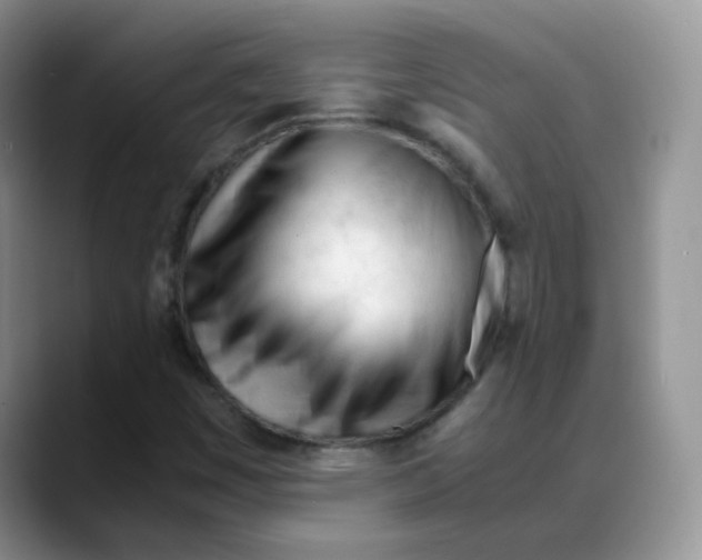 X0000088051449200706081620