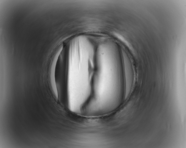 X0000088051453200706081620