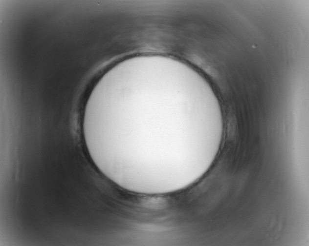 X0000088051454200706081620