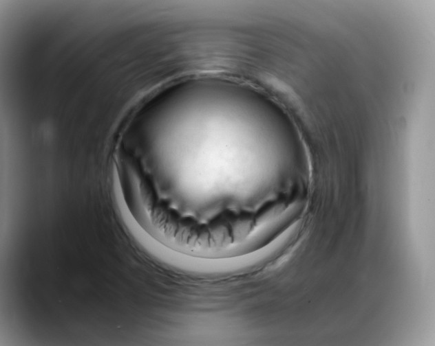 X0000088051457200706081620