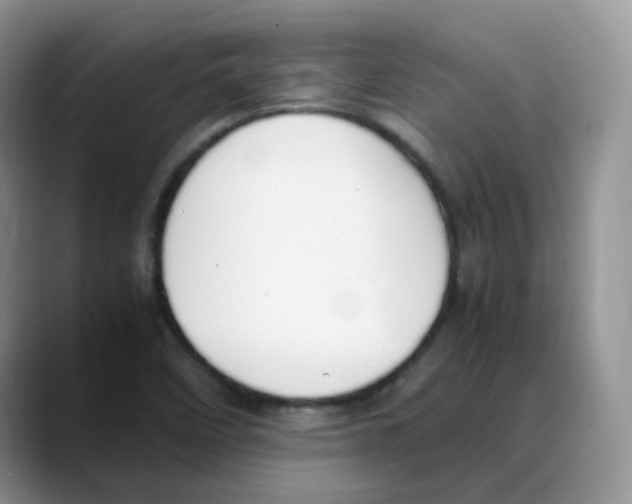 X0000088051458200706081620