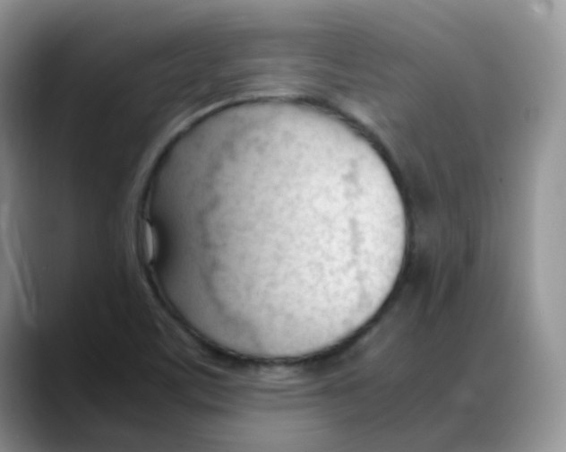 X0000088051459200706081620