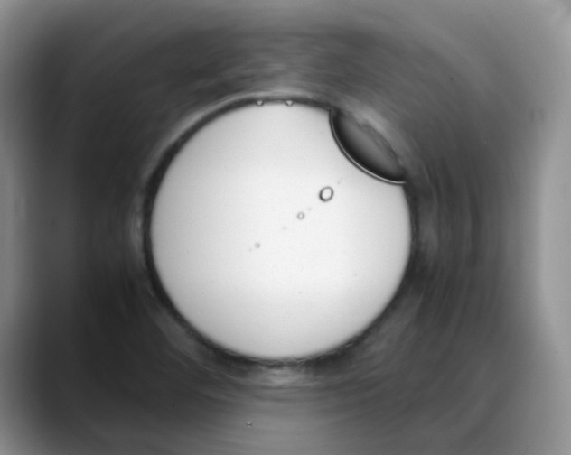 X0000088051460200706081620