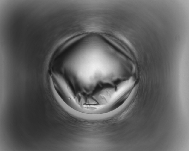 X0000088051461200706081620