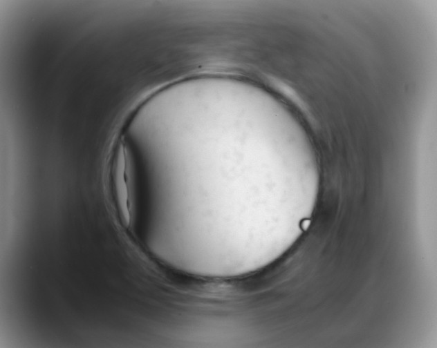 X0000088051463200706081619