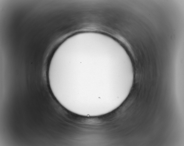 X0000088051464200706081619