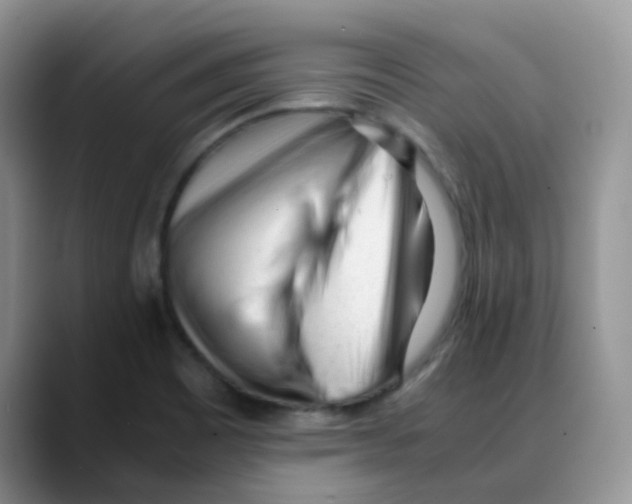 X0000088051465200706081619