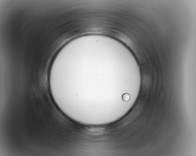 X0000088051466200706081619