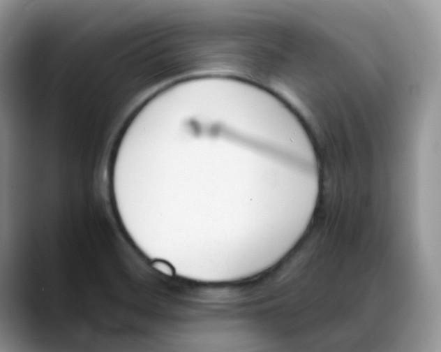 X0000088051468200706081619