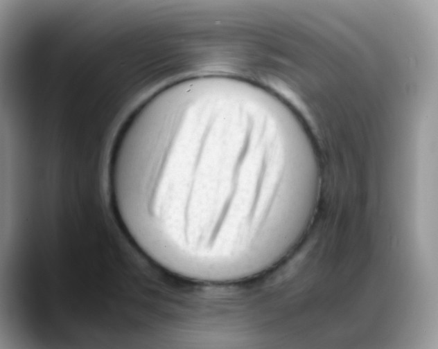 X0000088051469200706081619