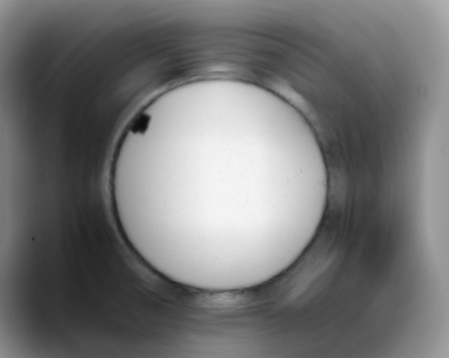 X0000088051474200706081619