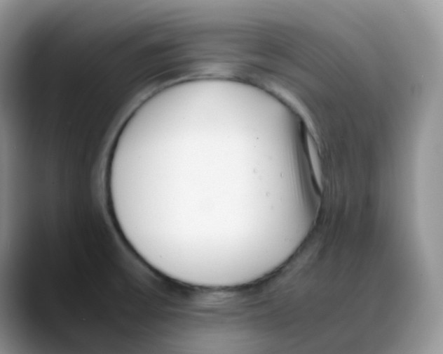 X0000088051475200706081619