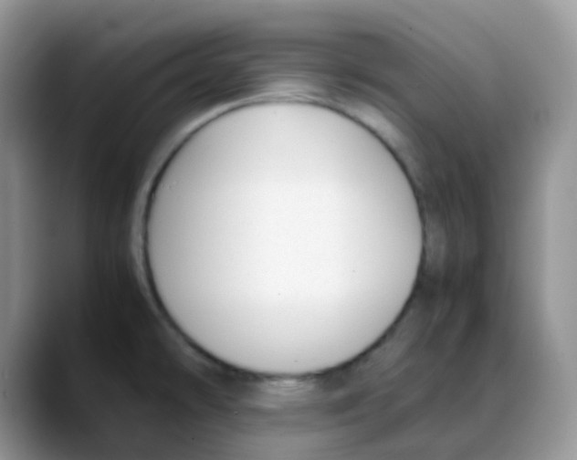 X0000088051478200706081619
