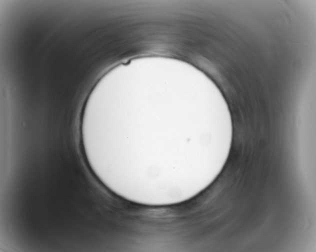 X0000088051479200706081619