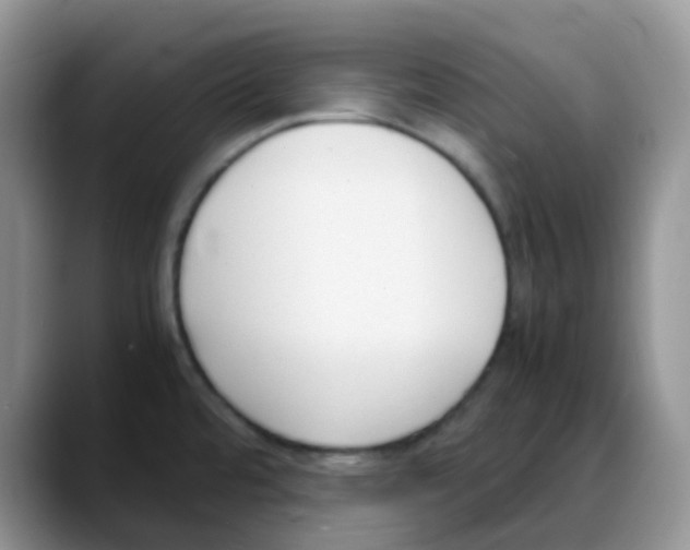 X0000088051480200706081619