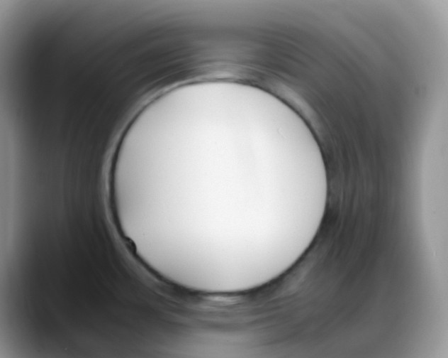 X0000088051483200706081619