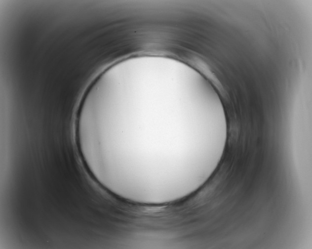 X0000088051484200706081619